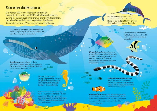 Buchcover und Innenansicht für das Buch: Puzzle & Buch: Tiere im Ozean