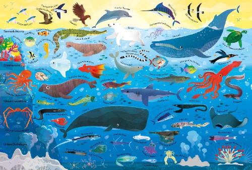 Buchcover und Innenansicht für das Buch: Puzzle & Buch: Tiere im Ozean