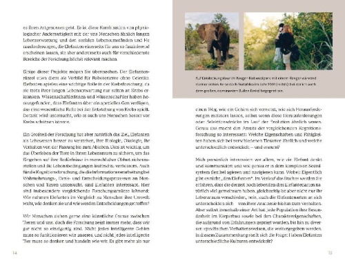 Buchcover und Innenansicht für das Buch: Elefanten