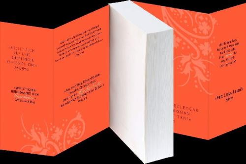 Buchcover und Innenansicht für das Buch: After We Fell (3)