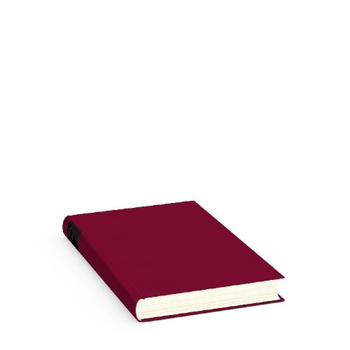 Buchcover und Innenansicht für das Buch: Dius