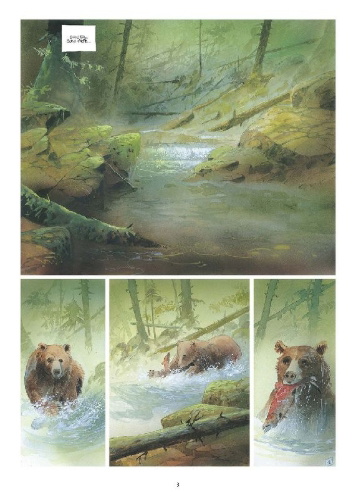Buchcover und Innenansicht für das Buch: Tomahawk