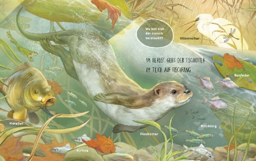 Buchcover und Innenansicht für das Buch: Es tummelt sich was am Teich