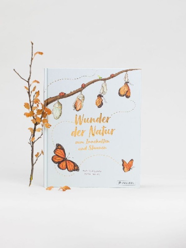 Buchcover und Innenansicht für das Buch: Slow Down
