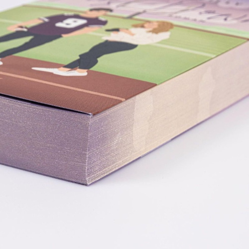 Buchcover und Innenansicht für das Buch: First Down