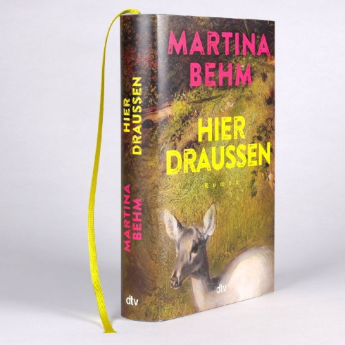 Buchcover und Innenansicht für das Buch: Hier draußen