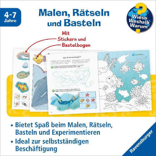 Buchcover und Innenansicht für das Buch: Wieso? Weshalb? Warum? aktiv-Heft: Das Meer