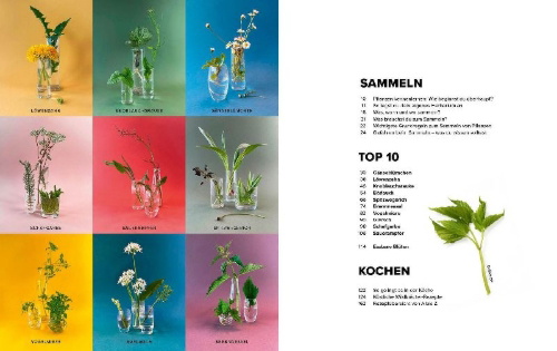 Buchcover und Innenansicht für das Buch: Wildkräuter Top 10