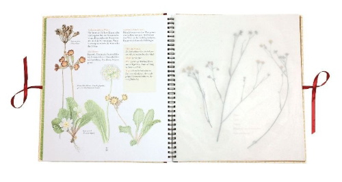 Buchcover und Innenansicht für das Buch: Humlans herbarium