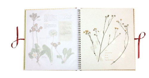 Buchcover und Innenansicht für das Buch: Humlans herbarium