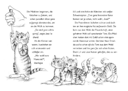 Buchcover und Innenansicht für das Buch: Die magischen Tierfreunde - Susi Samtpfote geht verloren