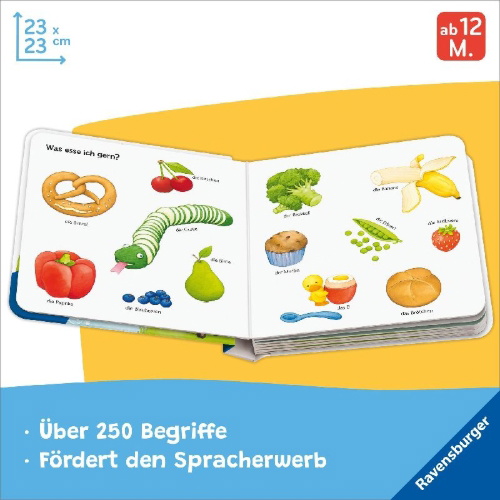 Buchcover und Innenansicht für das Buch: Mein erstes großes Wörterbuch