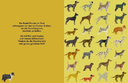 Buchcover und Innenansicht für das Buch: Where's the pair?