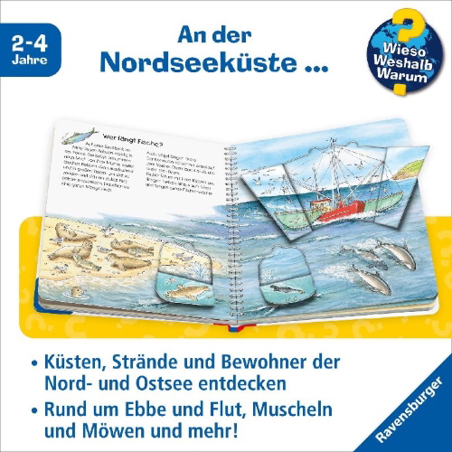 Buchcover und Innenansicht für das Buch: Wieso? Weshalb? Warum? junior, Band 17: Am Meer