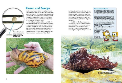 Buchcover und Innenansicht für das Buch: Entdecke die Schnecken