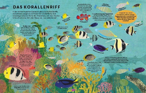 Buchcover und Innenansicht für das Buch: There are Fish Everywhere