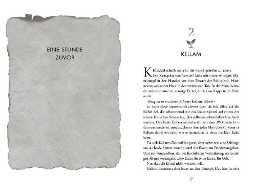 Buchcover und Innenansicht für das Buch: I Killed the King