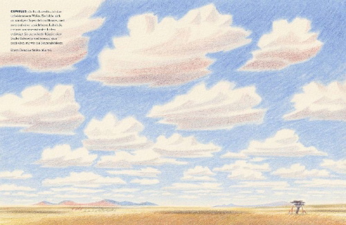 Buchcover und Innenansicht für das Buch: Cloudspotting for Beginners
