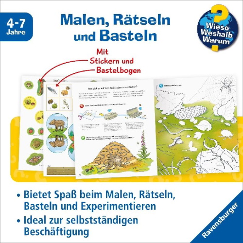 Buchcover und Innenansicht für das Buch: Wieso? Weshalb? Warum? aktiv-Heft: Wald